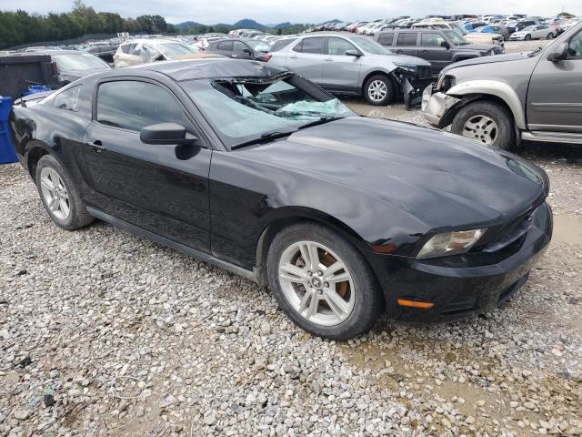 Photo 3 VIN: 1ZVBP8AN3A5148335 - FORD MUSTANG 