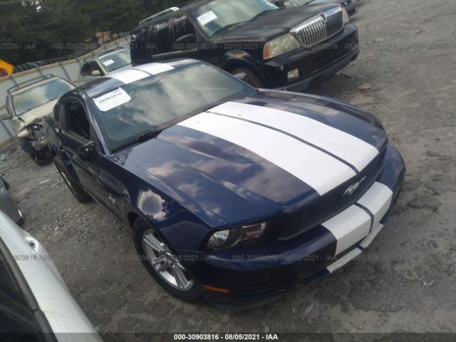 Photo 0 VIN: 1ZVBP8AN3A5163515 - FORD MUSTANG 