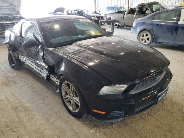 Photo 0 VIN: 1ZVBP8AN3A5164325 - FORD MUSTANG 