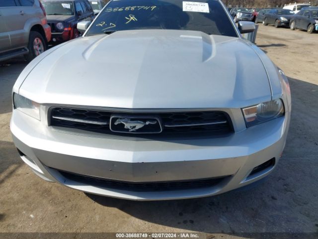 Photo 5 VIN: 1ZVBP8AN3A5165491 - FORD MUSTANG 