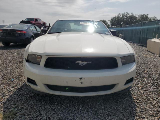 Photo 4 VIN: 1ZVBP8AN4A5107129 - FORD MUSTANG 