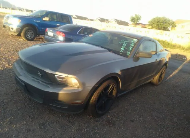 Photo 1 VIN: 1ZVBP8AN4A5108054 - FORD MUSTANG 