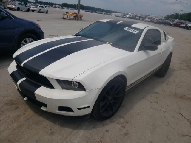 Photo 1 VIN: 1ZVBP8AN4A5137523 - FORD MUSTANG 