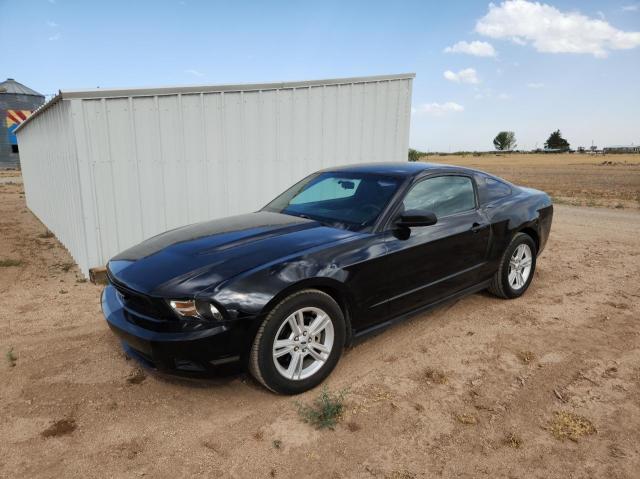 Photo 1 VIN: 1ZVBP8AN4A5138123 - FORD MUSTANG 