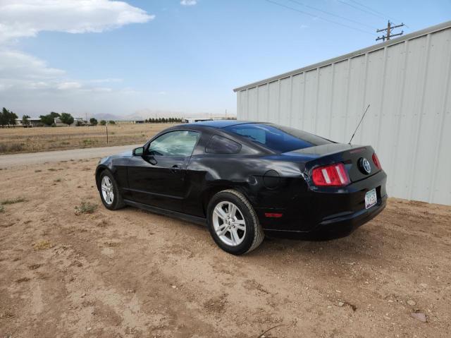 Photo 2 VIN: 1ZVBP8AN4A5138123 - FORD MUSTANG 