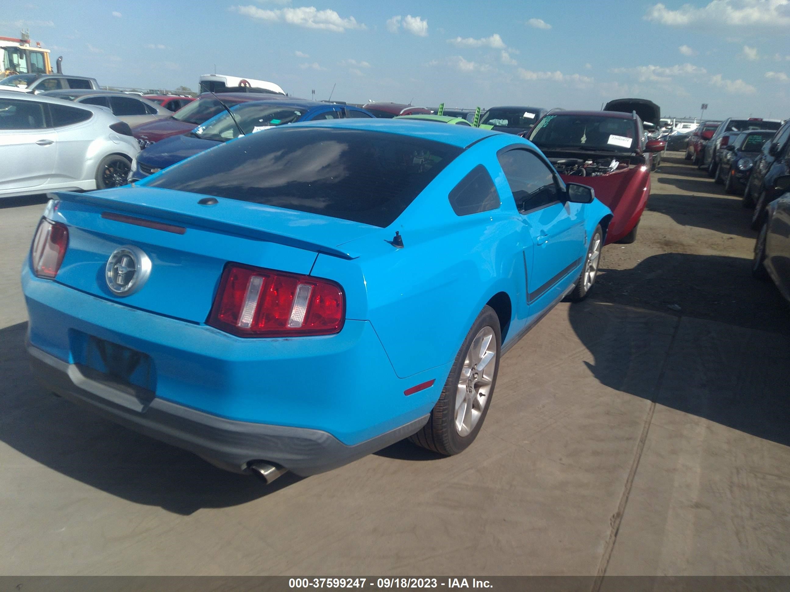 Photo 3 VIN: 1ZVBP8AN4A5149607 - FORD MUSTANG 