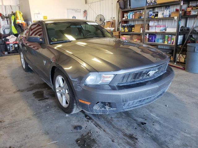 Photo 0 VIN: 1ZVBP8AN4A5154287 - FORD MUSTANG 