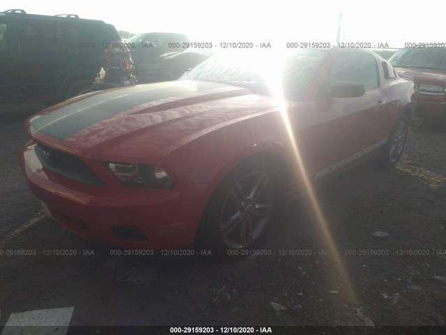 Photo 1 VIN: 1ZVBP8AN4A5156217 - FORD MUSTANG 