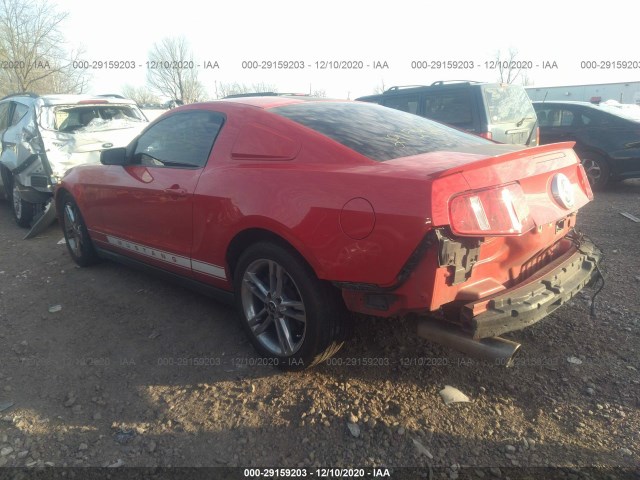 Photo 2 VIN: 1ZVBP8AN4A5156217 - FORD MUSTANG 