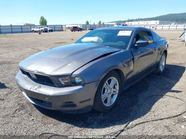 Photo 1 VIN: 1ZVBP8AN4A5157867 - FORD MUSTANG 