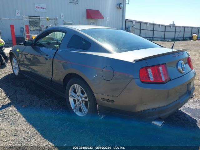 Photo 2 VIN: 1ZVBP8AN4A5157867 - FORD MUSTANG 