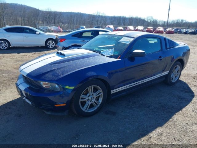 Photo 1 VIN: 1ZVBP8AN4A5161658 - FORD MUSTANG 