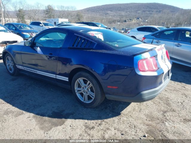 Photo 2 VIN: 1ZVBP8AN4A5161658 - FORD MUSTANG 