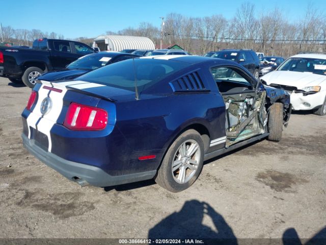 Photo 3 VIN: 1ZVBP8AN4A5161658 - FORD MUSTANG 