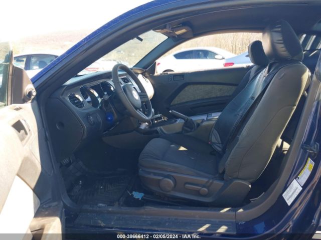 Photo 4 VIN: 1ZVBP8AN4A5161658 - FORD MUSTANG 