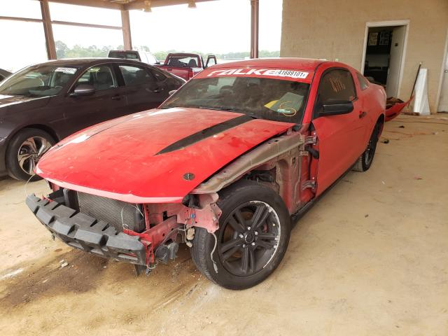 Photo 1 VIN: 1ZVBP8AN4A5169923 - FORD MUSTANG 