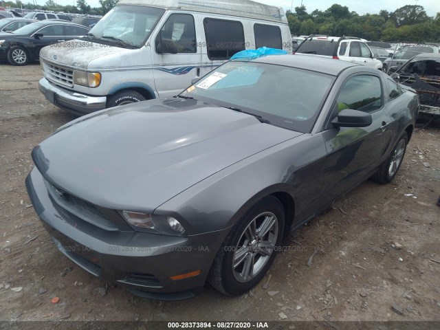 Photo 1 VIN: 1ZVBP8AN4A5170781 - FORD MUSTANG 