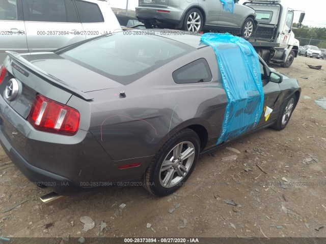 Photo 3 VIN: 1ZVBP8AN4A5170781 - FORD MUSTANG 