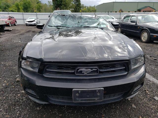 Photo 4 VIN: 1ZVBP8AN4A5172840 - FORD MUSTANG 