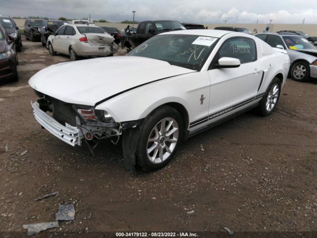 Photo 1 VIN: 1ZVBP8AN4A5177469 - FORD MUSTANG 