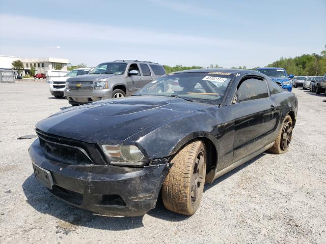 Photo 1 VIN: 1ZVBP8AN4A5180288 - FORD MUSTANG 