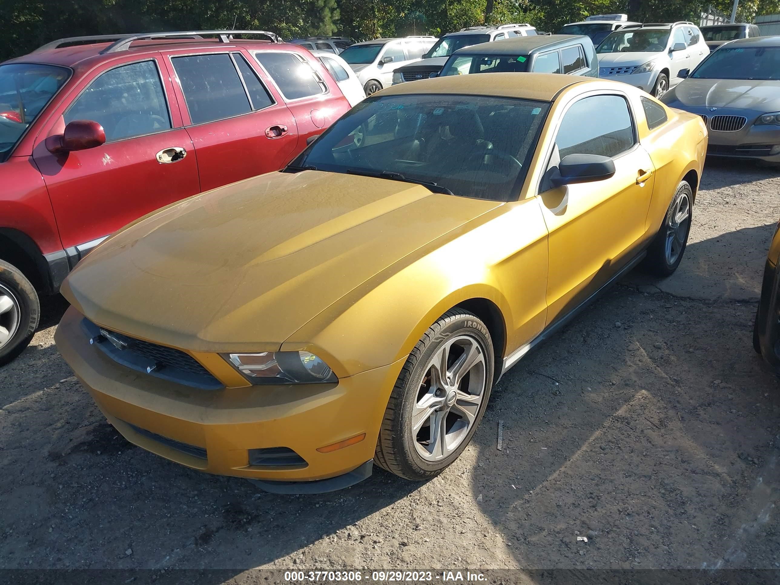 Photo 1 VIN: 1ZVBP8AN5A5104708 - FORD MUSTANG 