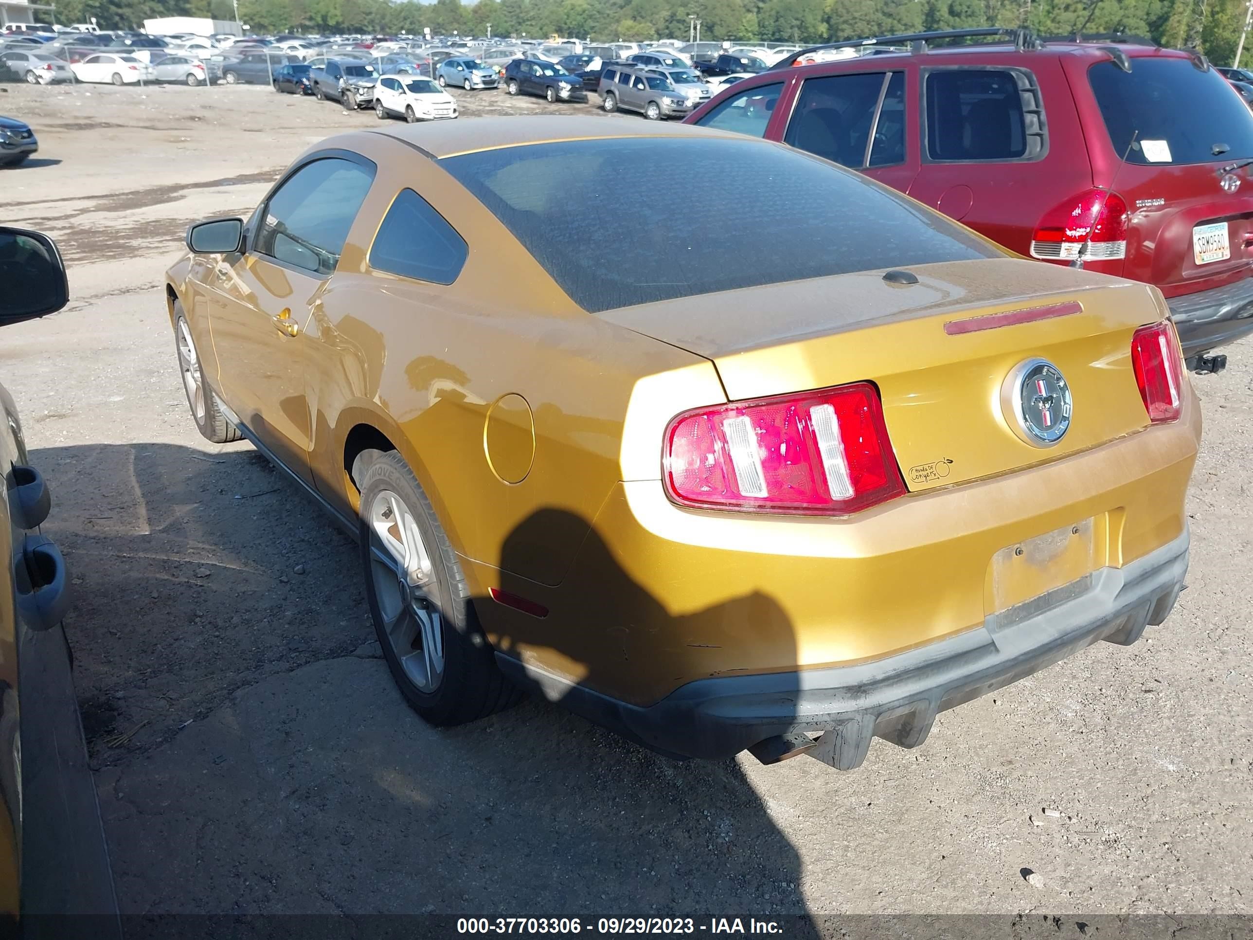 Photo 2 VIN: 1ZVBP8AN5A5104708 - FORD MUSTANG 