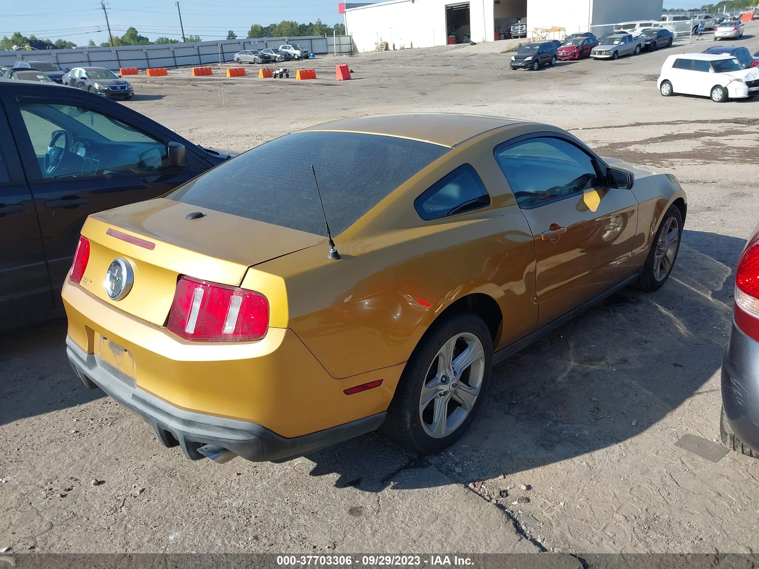 Photo 3 VIN: 1ZVBP8AN5A5104708 - FORD MUSTANG 