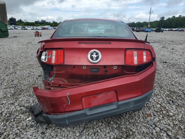 Photo 5 VIN: 1ZVBP8AN5A5106636 - FORD MUSTANG 