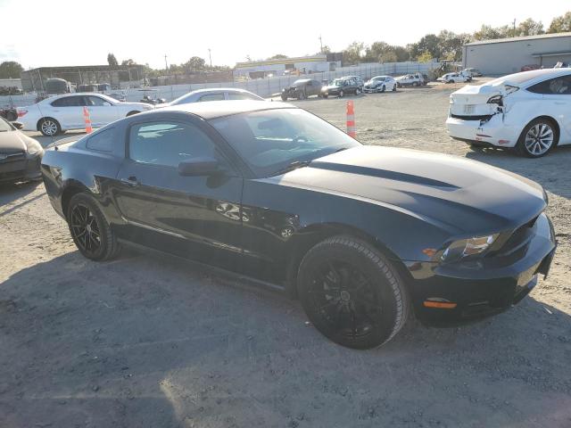 Photo 3 VIN: 1ZVBP8AN5A5123291 - FORD MUSTANG 