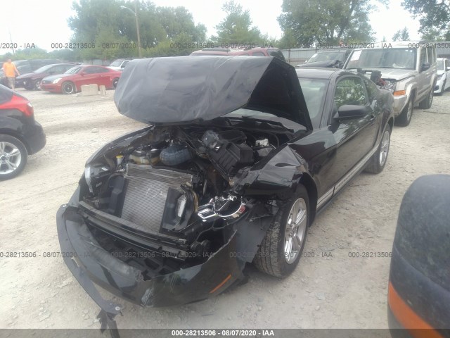 Photo 1 VIN: 1ZVBP8AN5A5129785 - FORD MUSTANG 