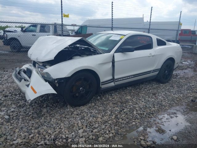 Photo 1 VIN: 1ZVBP8AN5A5130760 - FORD MUSTANG 