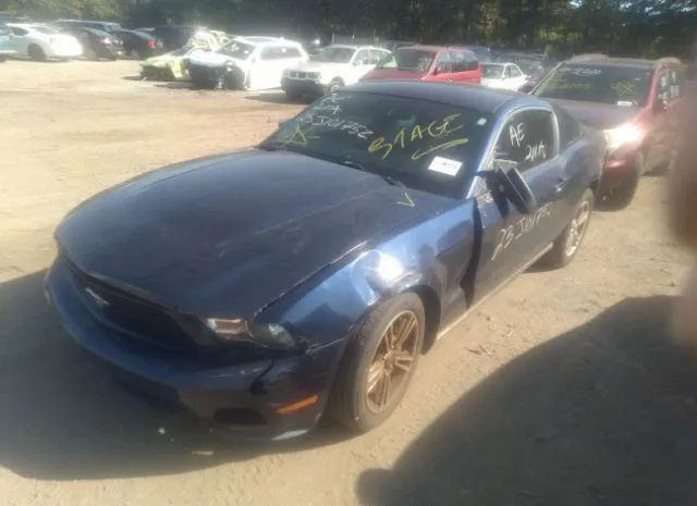 Photo 1 VIN: 1ZVBP8AN5A5135912 - FORD MUSTANG 