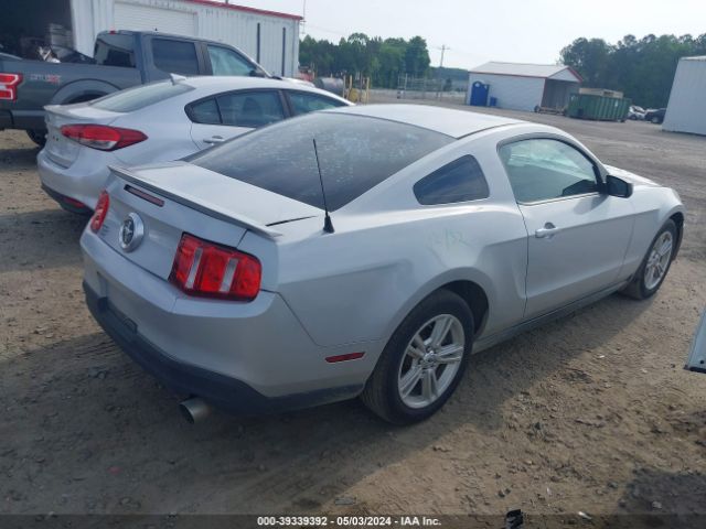 Photo 3 VIN: 1ZVBP8AN5A5144531 - FORD MUSTANG 