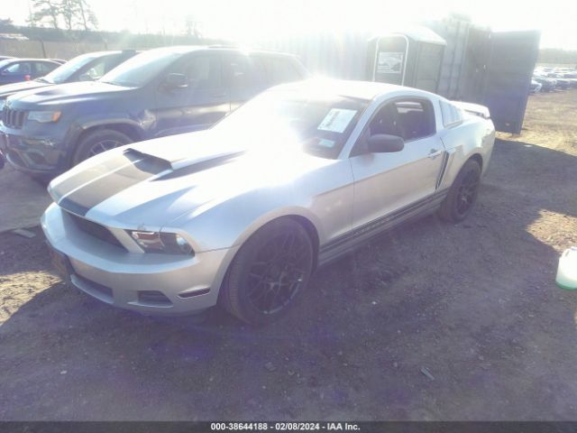 Photo 1 VIN: 1ZVBP8AN5A5144612 - FORD MUSTANG 