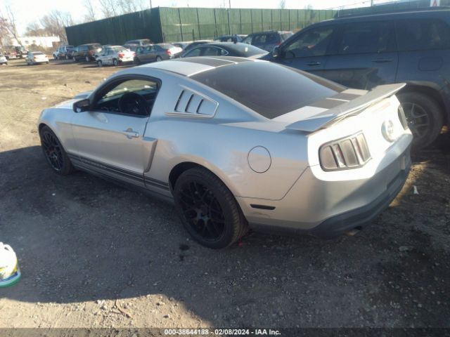 Photo 2 VIN: 1ZVBP8AN5A5144612 - FORD MUSTANG 