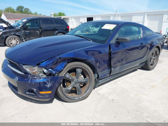 Photo 1 VIN: 1ZVBP8AN5A5152046 - FORD MUSTANG 