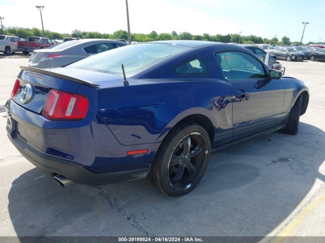 Photo 3 VIN: 1ZVBP8AN5A5152046 - FORD MUSTANG 