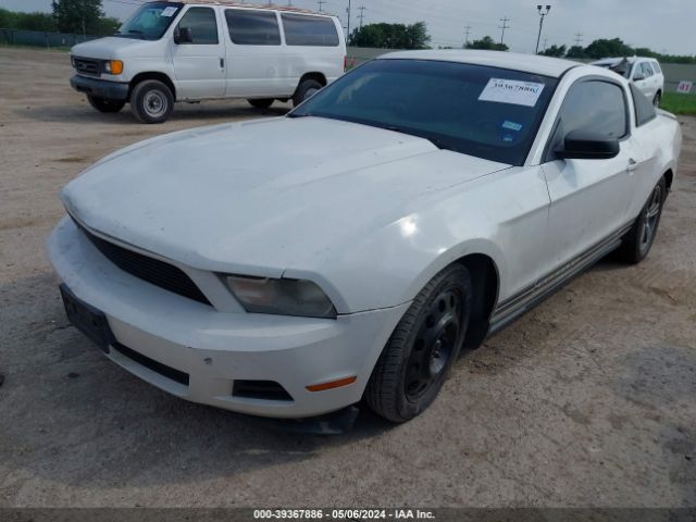 Photo 1 VIN: 1ZVBP8AN5A5169882 - FORD MUSTANG 