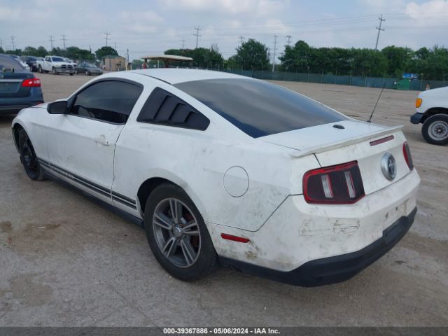 Photo 2 VIN: 1ZVBP8AN5A5169882 - FORD MUSTANG 