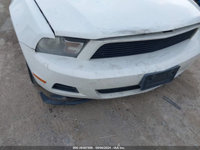 Photo 5 VIN: 1ZVBP8AN5A5169882 - FORD MUSTANG 