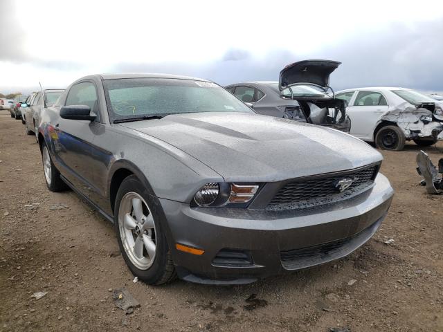 Photo 0 VIN: 1ZVBP8AN5A5176475 - FORD MUSTANG 