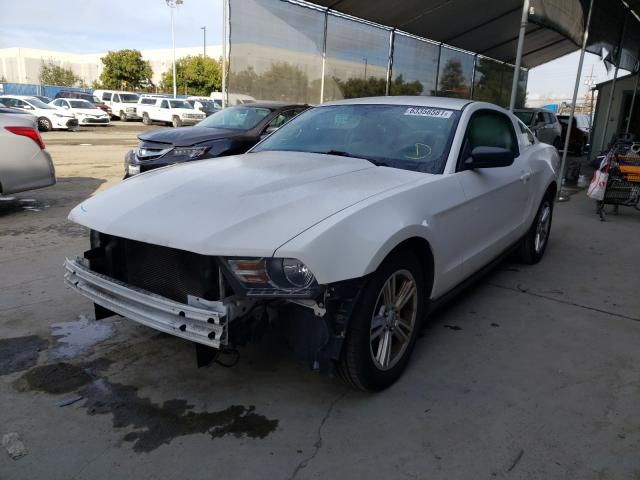 Photo 1 VIN: 1ZVBP8AN5A5176654 - FORD MUSTANG 