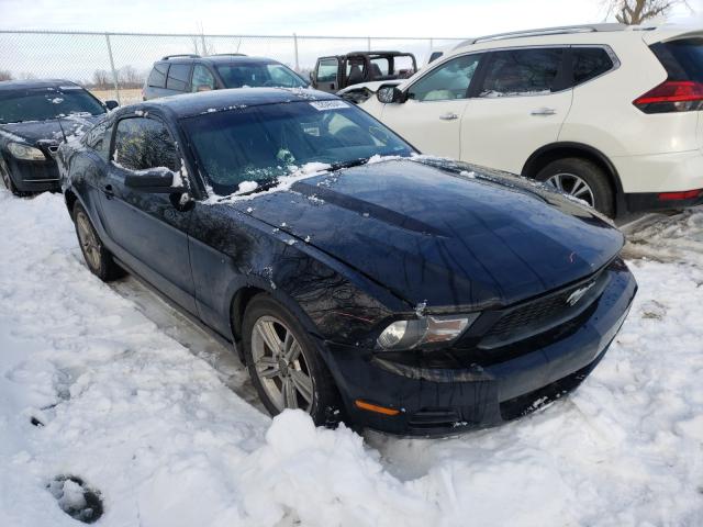 Photo 0 VIN: 1ZVBP8AN5A5179764 - FORD MUSTANG 