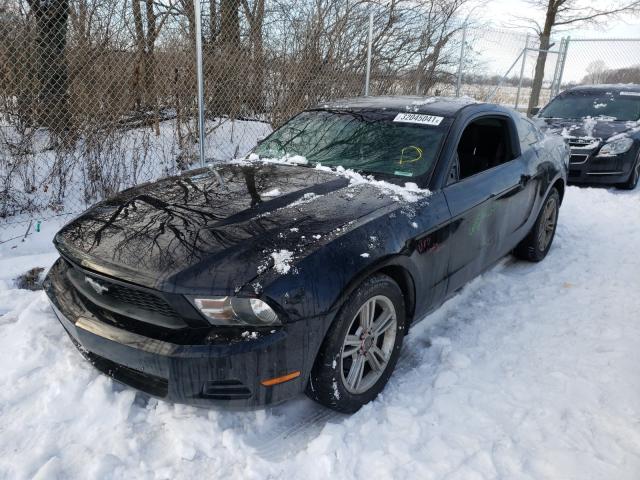 Photo 1 VIN: 1ZVBP8AN5A5179764 - FORD MUSTANG 