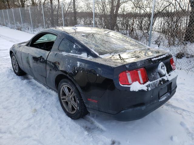 Photo 2 VIN: 1ZVBP8AN5A5179764 - FORD MUSTANG 