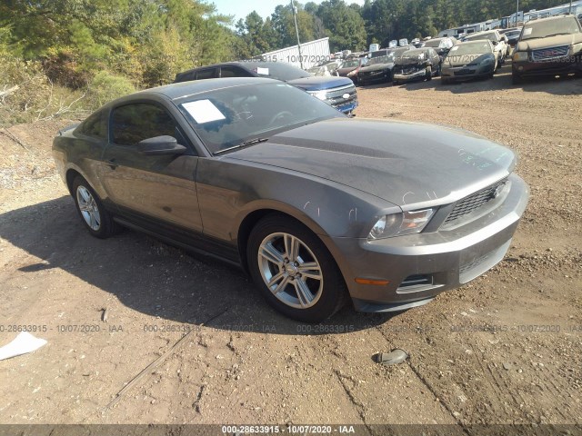 Photo 0 VIN: 1ZVBP8AN5A5179781 - FORD MUSTANG 