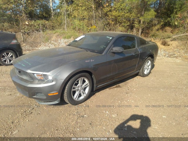 Photo 1 VIN: 1ZVBP8AN5A5179781 - FORD MUSTANG 