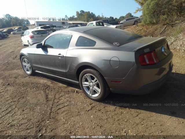 Photo 2 VIN: 1ZVBP8AN5A5179781 - FORD MUSTANG 