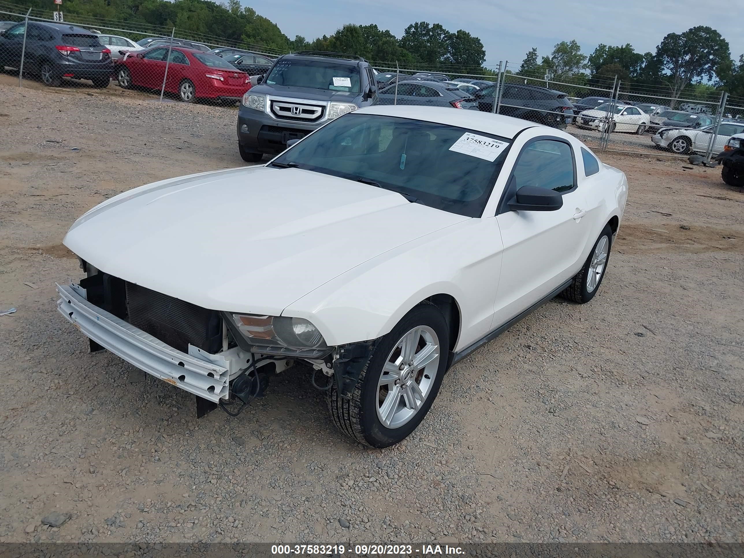 Photo 1 VIN: 1ZVBP8AN6A5105611 - FORD MUSTANG 